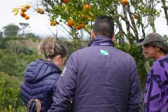 Inscrições para  capacitação de engenheiros agrônomos da Adapar para a emissão de certificados fitossanitários vão até 20 de fevereiro