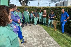 Adapar promove treinamento para controle de zoonoses em animais de produção