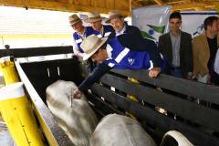 Governador Beto Richa lança junto com o secretário da Agricultura e do Abastecimento, Norberto Ortigara e o diretor presidente da Adapar, Inácio Kroetz, Campanha Estadual de Vacinação contra Febre Aftosa de 2014. Campo Magro, 30-04-14