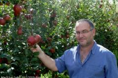 Pomar de maçã Fuji em Palmas-PR e o coordenador do Programa de Sanidade da Fruticultura da ADAPAR, Paulo Pazin Marques.
