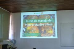 Fiscais da Defesa Sanitária Vegetal da ADAPAR, das URS de Apucarana, Cornélio Procópio, Londrina, Maringá e Paranavaí, participaram de Curso sobre Pinta Preta dos Citros