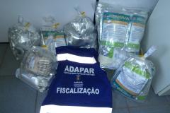 Foram apreendidos aproximadamente 20 kg de agrotóxicos sem registro no Brasil.