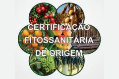 II Semana Integrada de Cursos CFO / CFOC