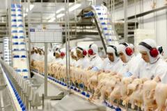 Paraná já é o Estado que mais produz carnes do País