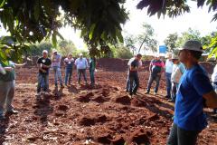Formigas Cortadeiras 