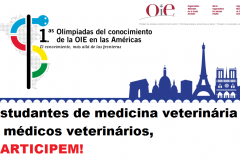 Primeira Olimpíada de Conhecimento da OIE para as Américas