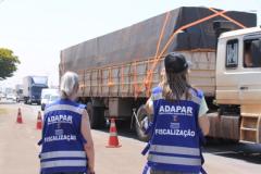 Atuação da Adapar ajuda Paraná a recuperar mercados para a carne