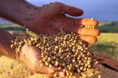 Agrotóxicos: Tema é debatido no FONESA