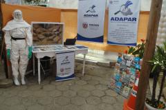 Adapar participa da 23ª Exponkan e 51ª Festa da Laranja em Cerro Azul
