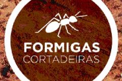 Formigas Cortadeiras: Adapar orienta sobre o combate desta praga