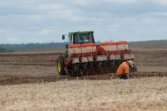 Adapar altera portaria que estabelece o período de semeadura e colheita de soja