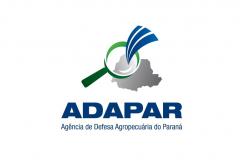 Bem Estar Animal: Adapar Autua Produtor Rural por Maus Tratos