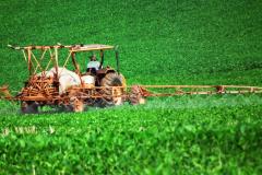 Plataforma Pioneira no Brasil Viabiliza
Receita Agronômica Via Web
