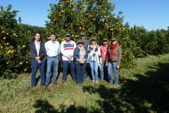 Adapar realiza treinamento para fiscais da Adagro (PE) em sanidade na citricultura