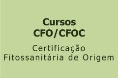 CursosCFOmenor