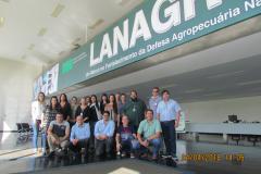 Adapar Participa de Reunião Técnica sobre Mormo em Minas Gerais