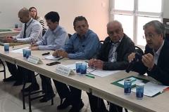 Câmara Setorial da Citricultura discute ações de controle do greening em São Paulo e no Paraná