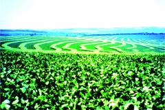 Atualização de normas contribui para a segurança no uso de agrotóxicos
