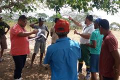 Sanidade dos Suínos: Adapar coopera com o governo de Alagoas nos focos de peste suína clássica