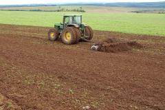 Paraná prorroga prazo para o plantio da soja