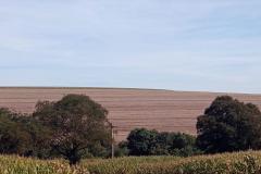 Entre os dias 10 de junho a 10 de setembro acontece o vazio sanitário da soja no Estado, conforme determina a Portaria nº342/2019 da Agência de Defesa Agropecuária do Paraná (Adapar). Nesse período, fica proibido cultivar, manter ou permitir a presença de plantas vivas de soja em qualquer estádio vegetativo.