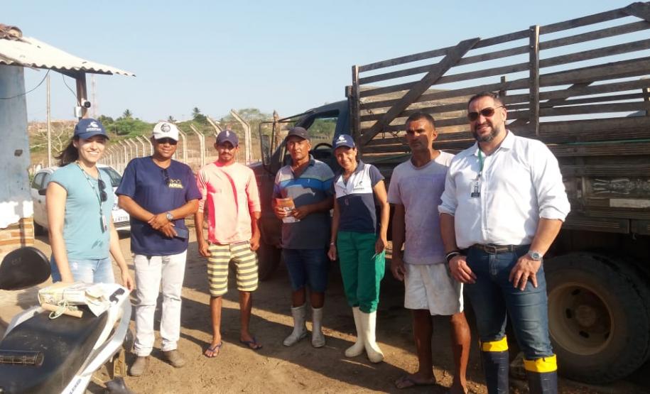 Adapar coopera com o governo de Alagoas nos focos de peste suína clássica