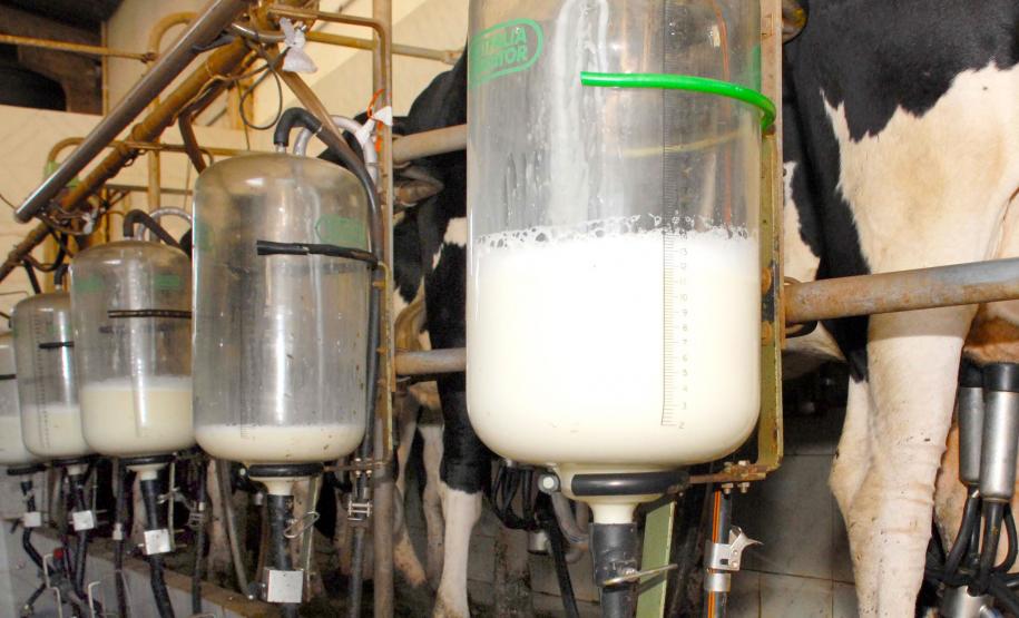 Produtor que não cumprir com normas terá leite descartado