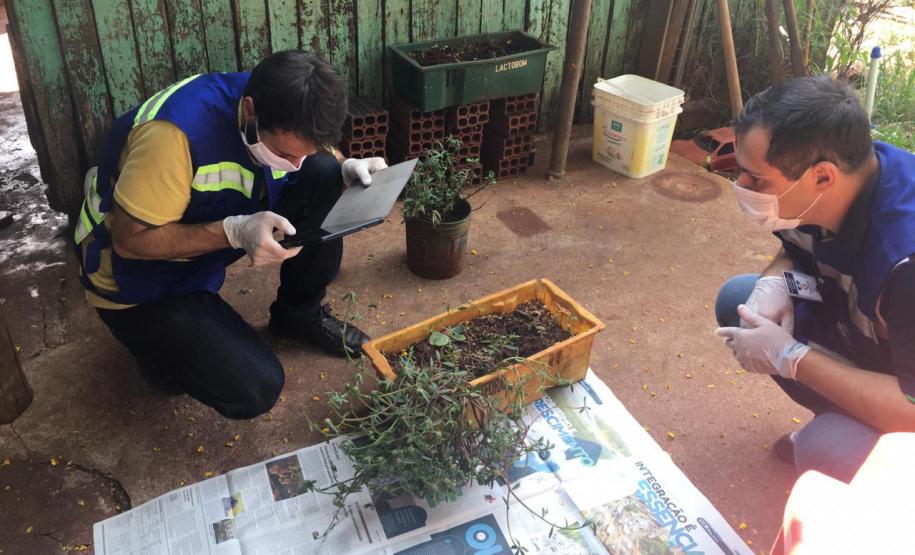 Paraná monitora caso das sementes clandestinas