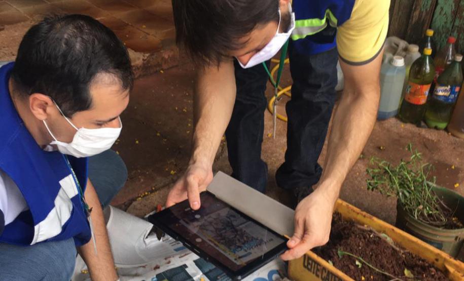 Paraná monitora caso das sementes clandestinas