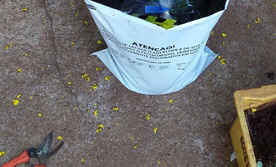 Paraná monitora caso das sementes clandestinas