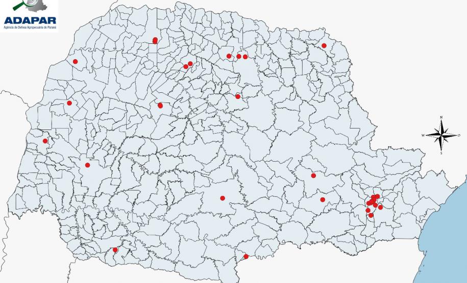 Paraná monitora caso das sementes clandestinas