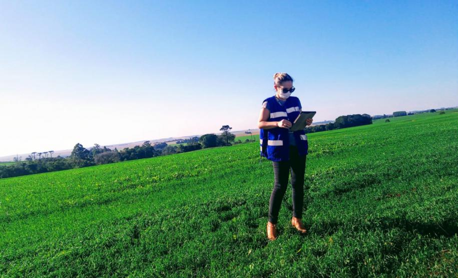 Adapar esclarece regras sobre o uso do Paraquat na safra 2020/21