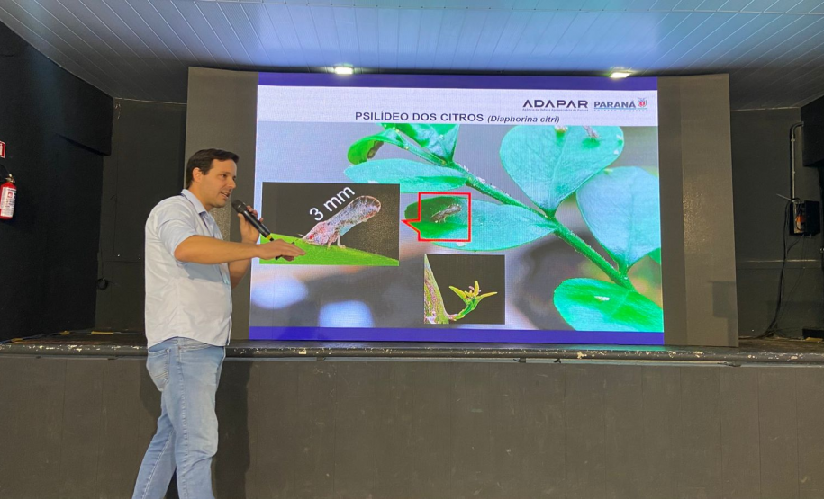 Simpósio na ExpoIngá reforça união de esforços no combate ao greening na citricultura paranaense
