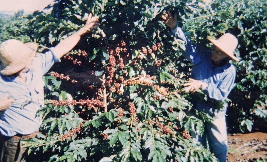 Vem aí: Feira Sabores do Paraná reunirá trajetórias inspiradoras e produtos premiados