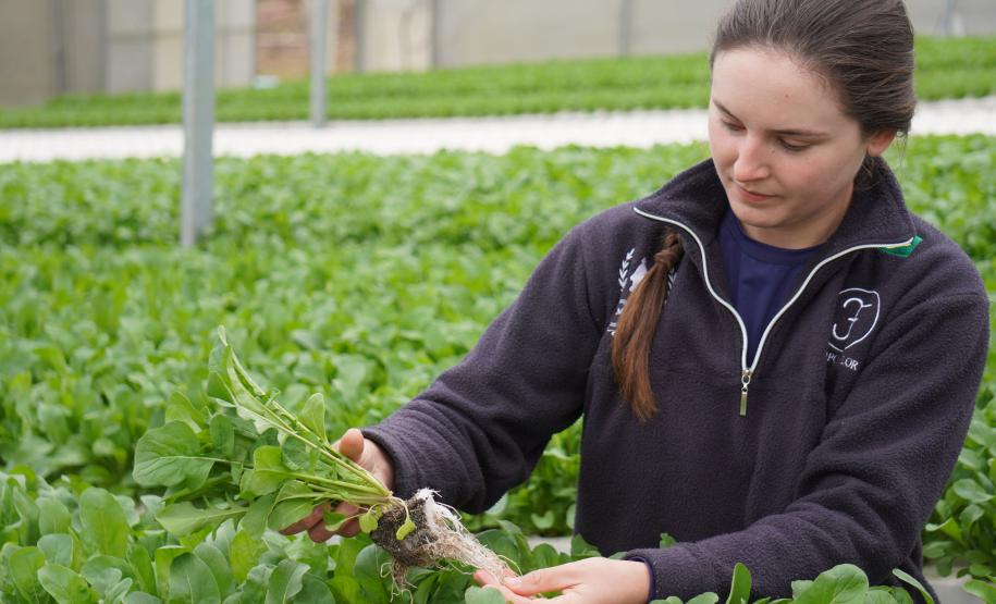Feira Sabores do Paraná 2025 terá como novidade uma seção de hortifruticultura