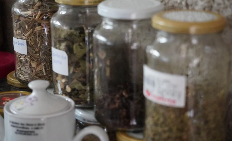 Feira Sabores do Paraná 2025 terá como novidade uma seção de hortifruticultura