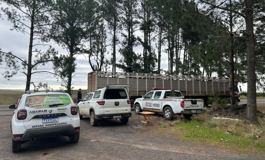 Adapar realiza visita técnica ao Rio Grande do Sul para conhecer o Projeto Sentinela