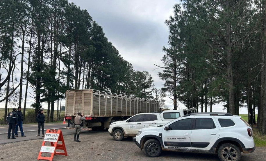 Adapar realiza visita técnica ao Rio Grande do Sul para conhecer o Projeto Sentinela