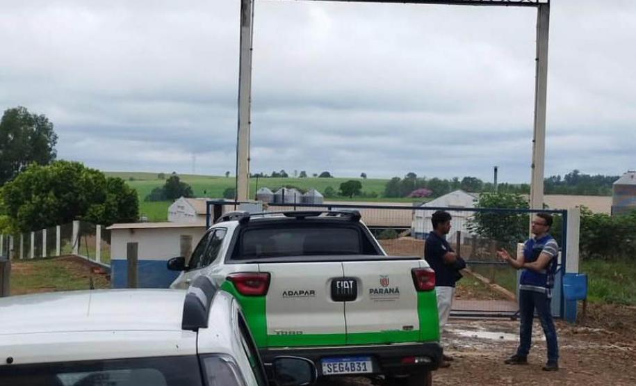 Adapar promove força-tarefa para garantir biosseguridade em estabelecimentos avícolas