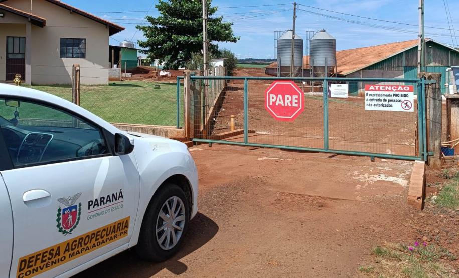 Adapar promove força-tarefa para garantir biosseguridade em estabelecimentos avícolas