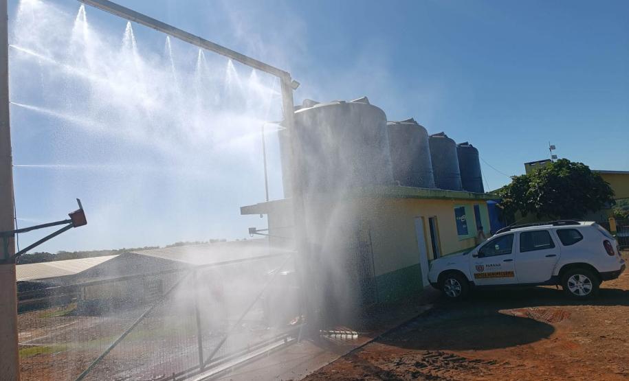 Adapar promove força-tarefa para garantir biosseguridade em estabelecimentos avícolas