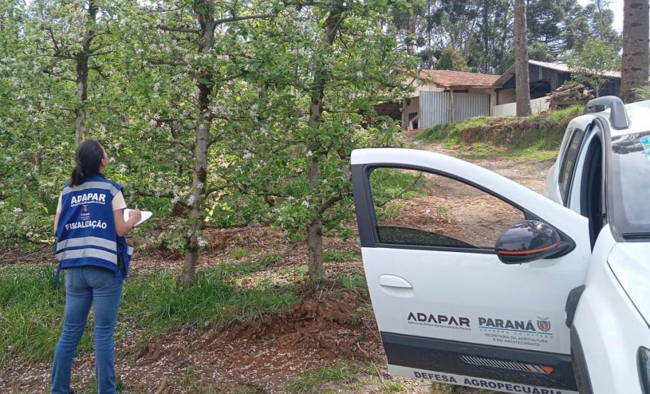 Adapar anuncia concurso com 57 vagas; salários chegam a R$ 8,4 mil