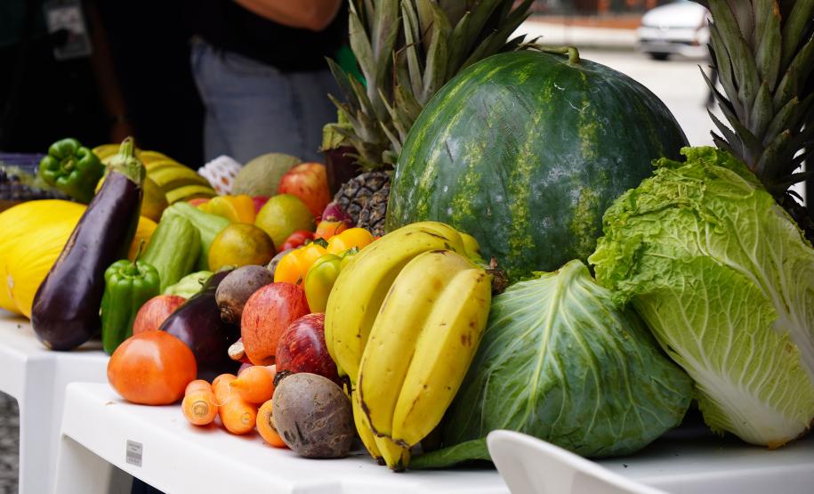 Sistema Estadual de Agricultura divulga ações durante o Dia Mundial da Alimentação