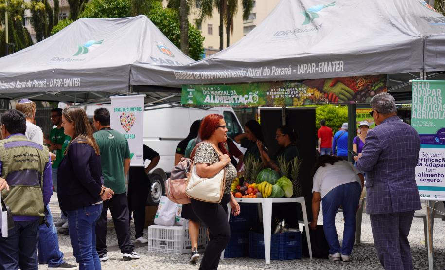 Sistema Estadual de Agricultura divulga ações durante o Dia Mundial da Alimentação