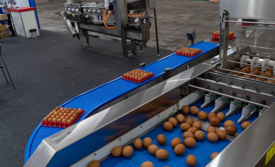 Governador destaca expansão contínua da produção de proteína animal na AveSui 2025