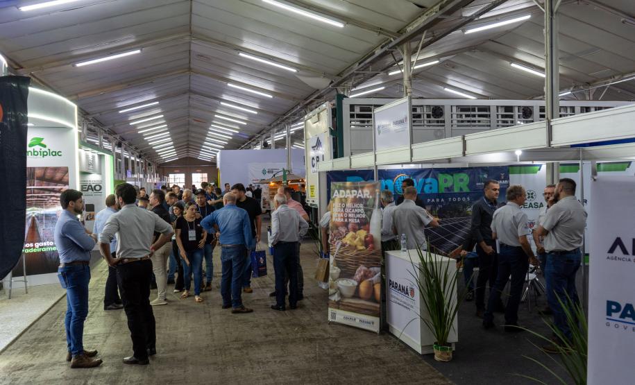 Governador destaca expansão contínua da produção de proteína animal na AveSui 2025