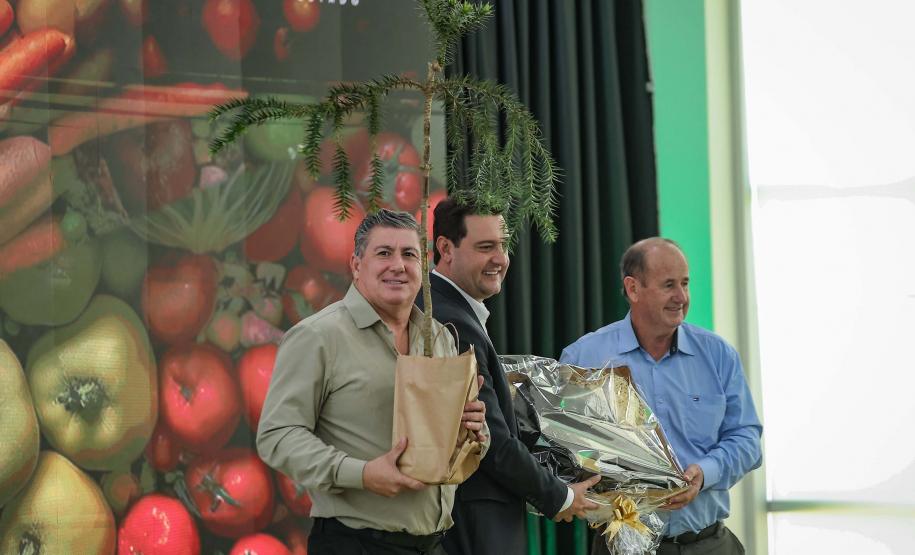 Dia Mundial da Alimentação: Paraná incentiva programas que garantem segurança alimentar