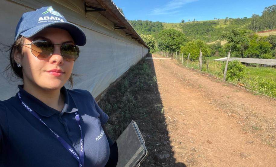 Adapar intensifica fiscalização em granjas avícolas o Sudoeste
