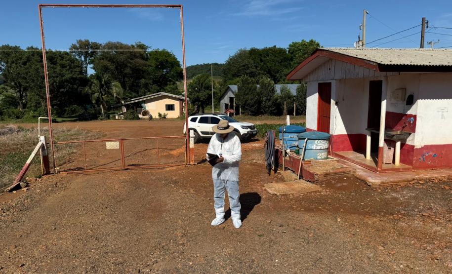 Adapar intensifica fiscalização em granjas avícolas o Sudoeste