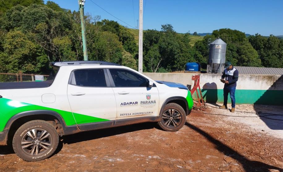 Adapar intensifica fiscalização em granjas avícolas o Sudoeste